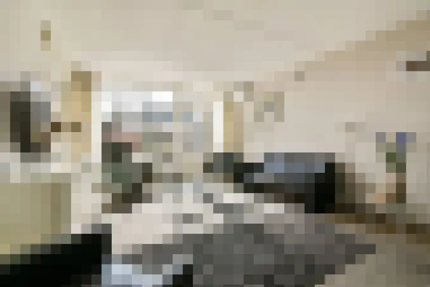 Meidoorn 25 Naaldwijk thumbnail 7