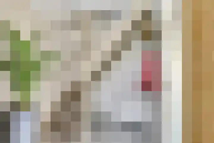 Meidoorn 27 Haaksbergen thumbnail 10