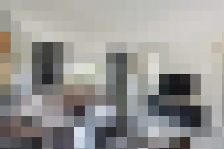 Meidoorn 27 Haaksbergen thumbnail 12