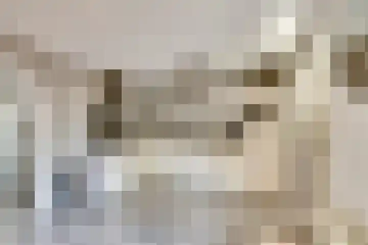 Meidoorn 27 Haaksbergen thumbnail 14
