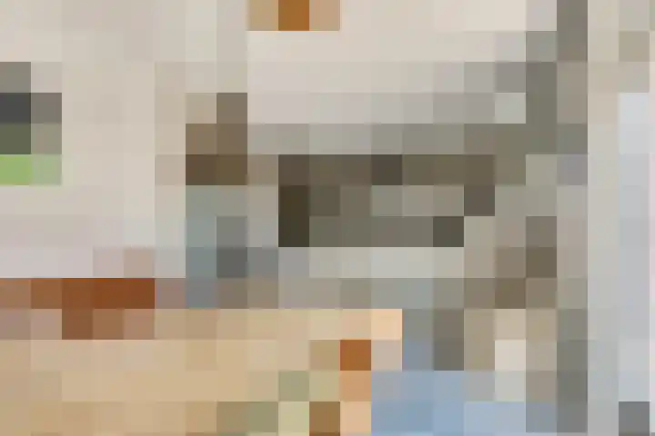 Meidoorn 27 Haaksbergen thumbnail 15