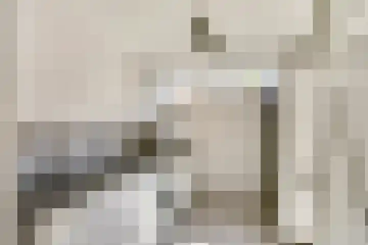 Meidoorn 27 Haaksbergen thumbnail 18