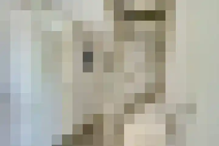 Meidoorn 27 Haaksbergen thumbnail 19