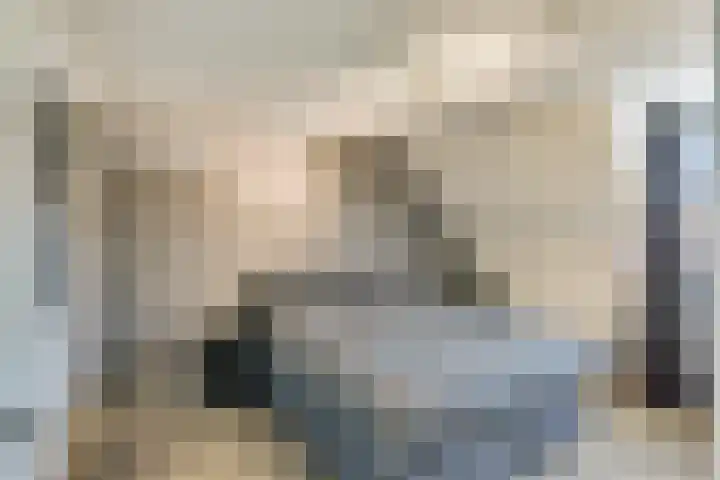 Meidoorn 27 Haaksbergen thumbnail 20