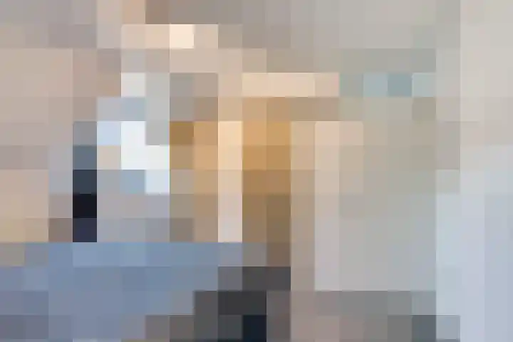 Meidoorn 27 Haaksbergen thumbnail 21