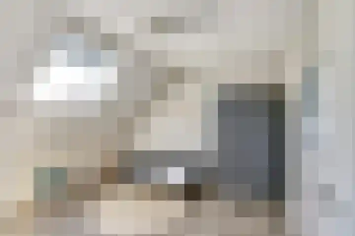 Meidoorn 27 Haaksbergen thumbnail 24