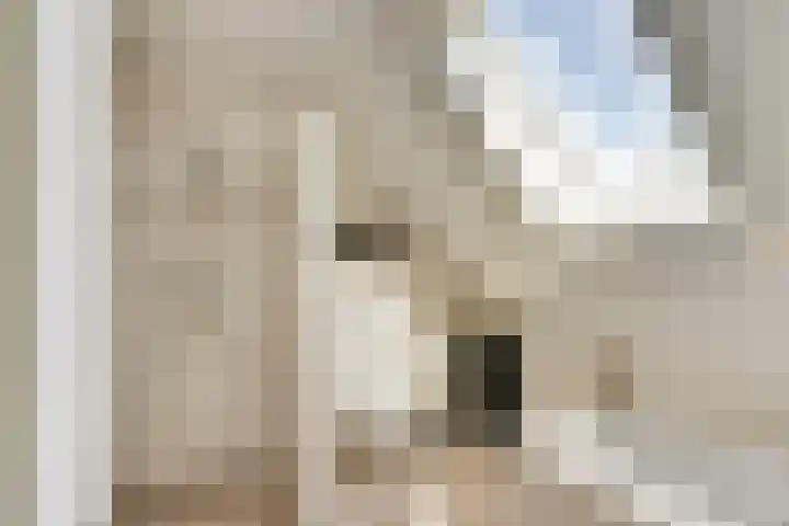 Meidoorn 27 Haaksbergen thumbnail 26