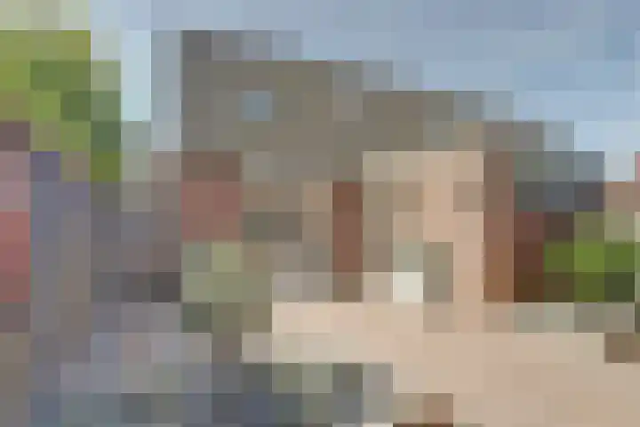 Meidoorn 27 Haaksbergen thumbnail 31