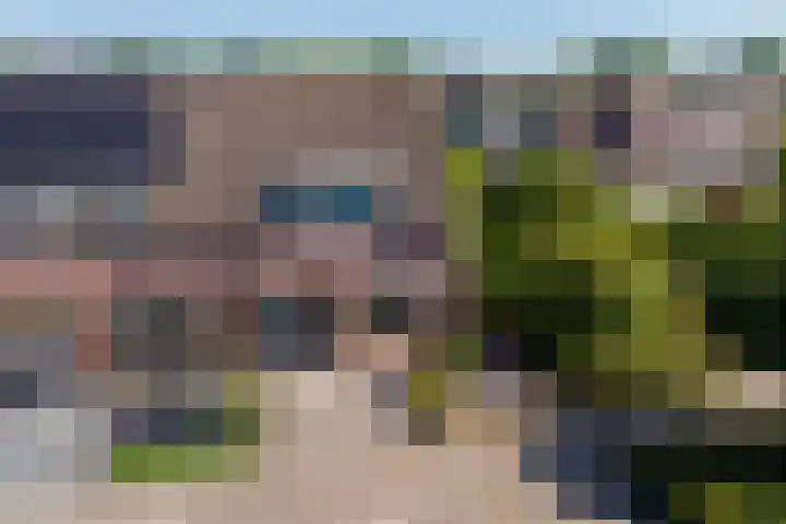 Meidoorn 27 Haaksbergen thumbnail 34