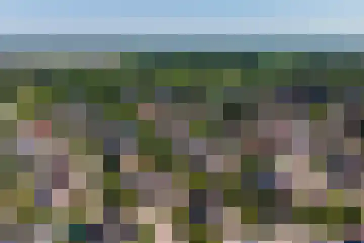 Meidoorn 27 Haaksbergen thumbnail 35