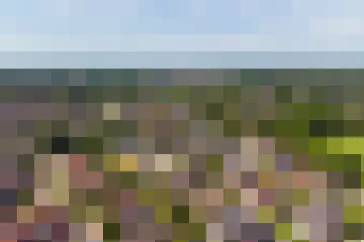 Meidoorn 27 Haaksbergen thumbnail 36