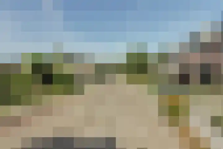 Meidoorn 27 Haaksbergen thumbnail 4
