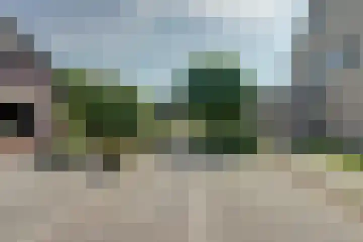 Meidoorn 27 Haaksbergen thumbnail 5