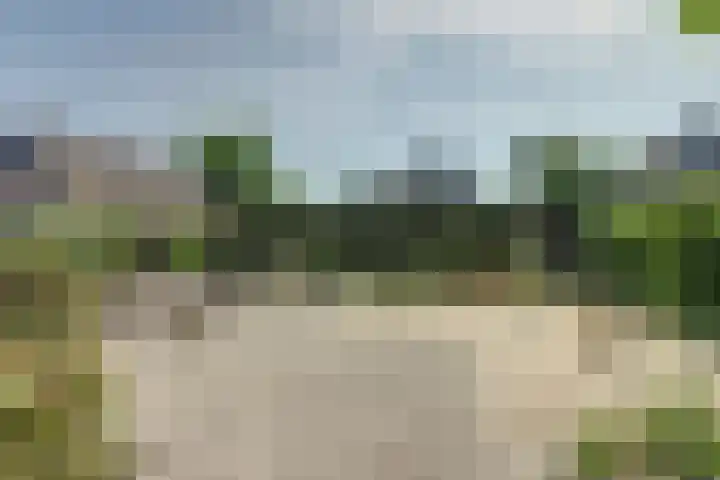 Meidoorn 27 Haaksbergen thumbnail 7