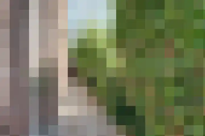 Meidoorn 27 Haaksbergen thumbnail 8