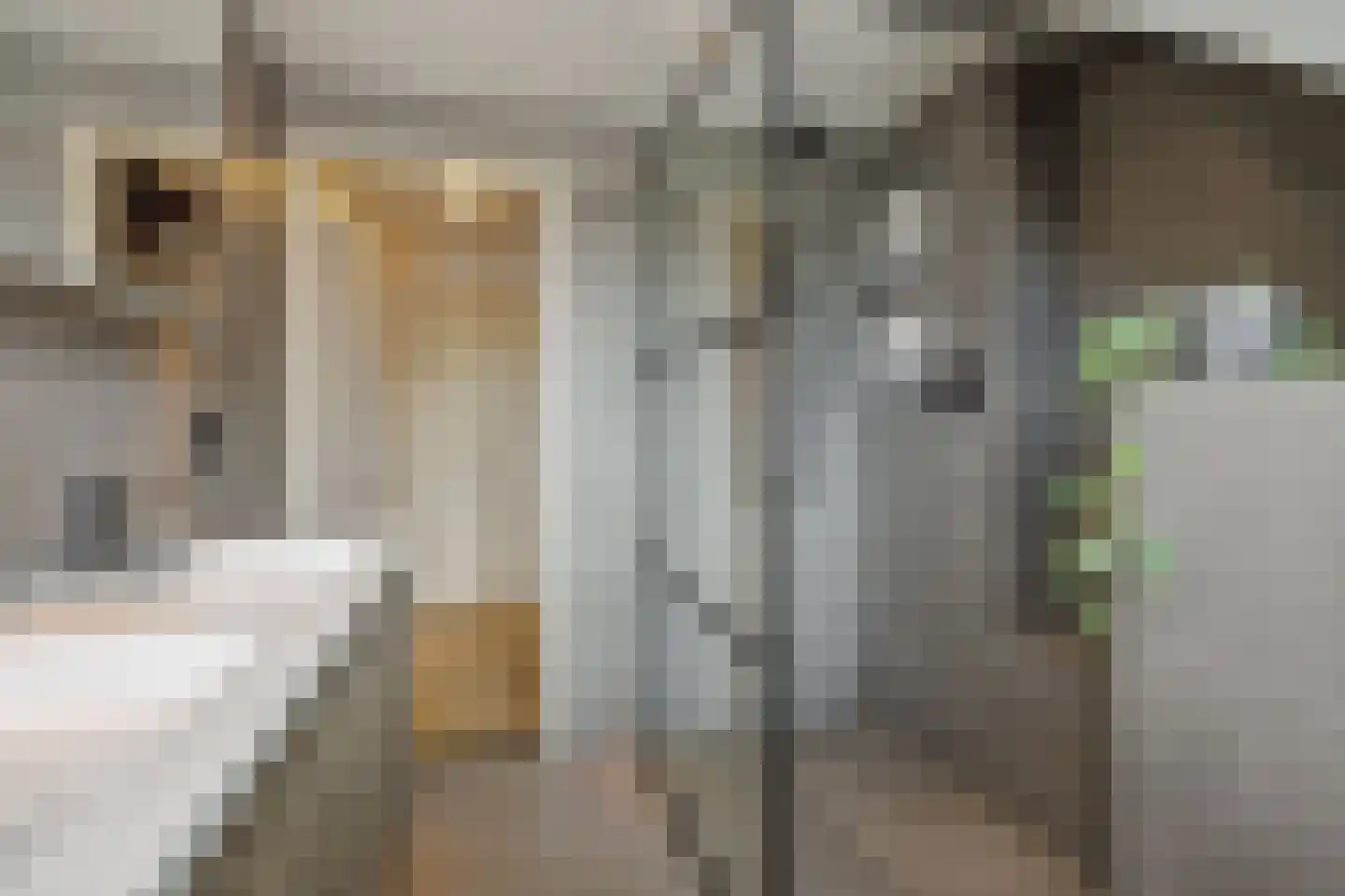 Meidoorn 27 Helmond thumbnail 34