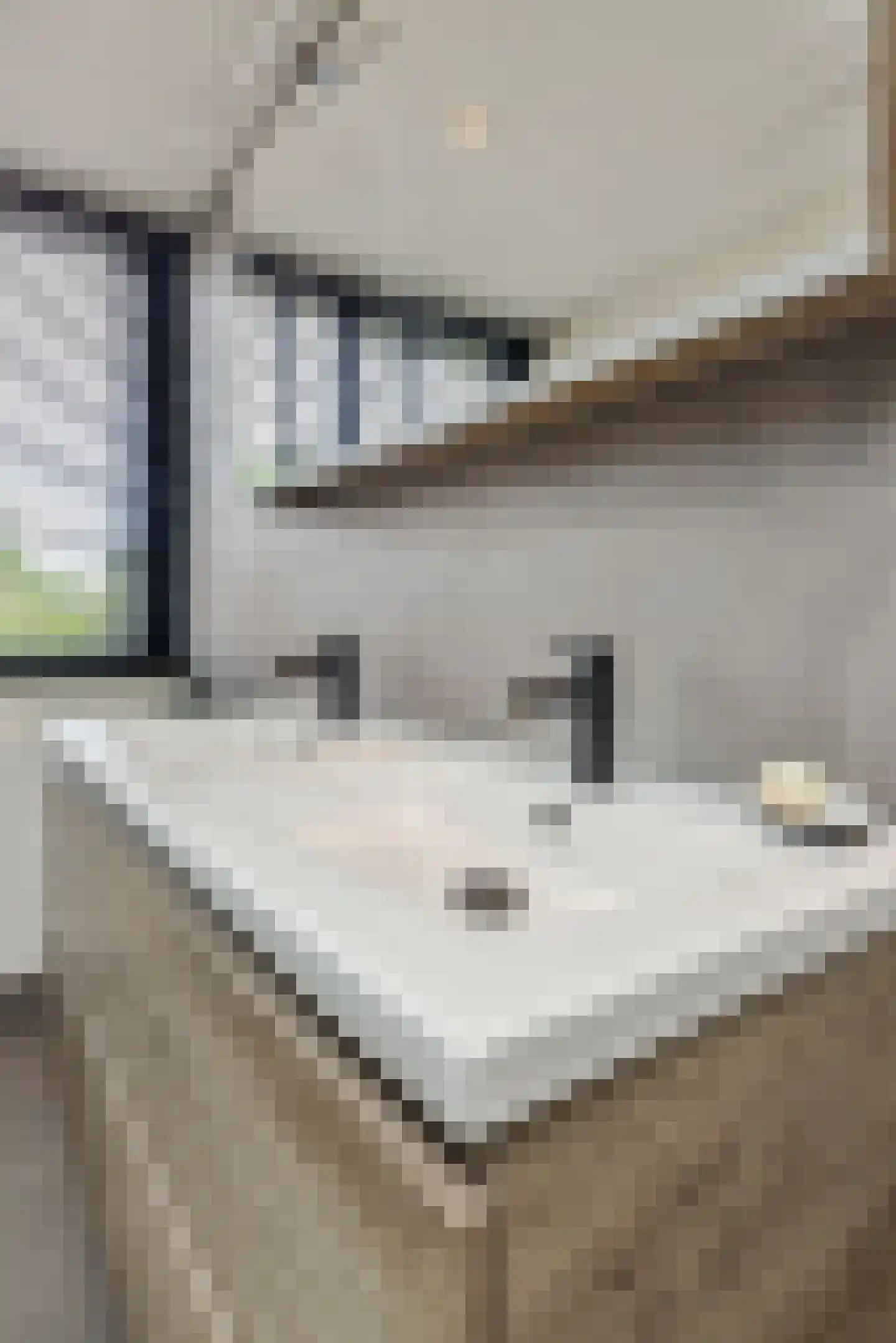 Meidoorn 27 Helmond thumbnail 36