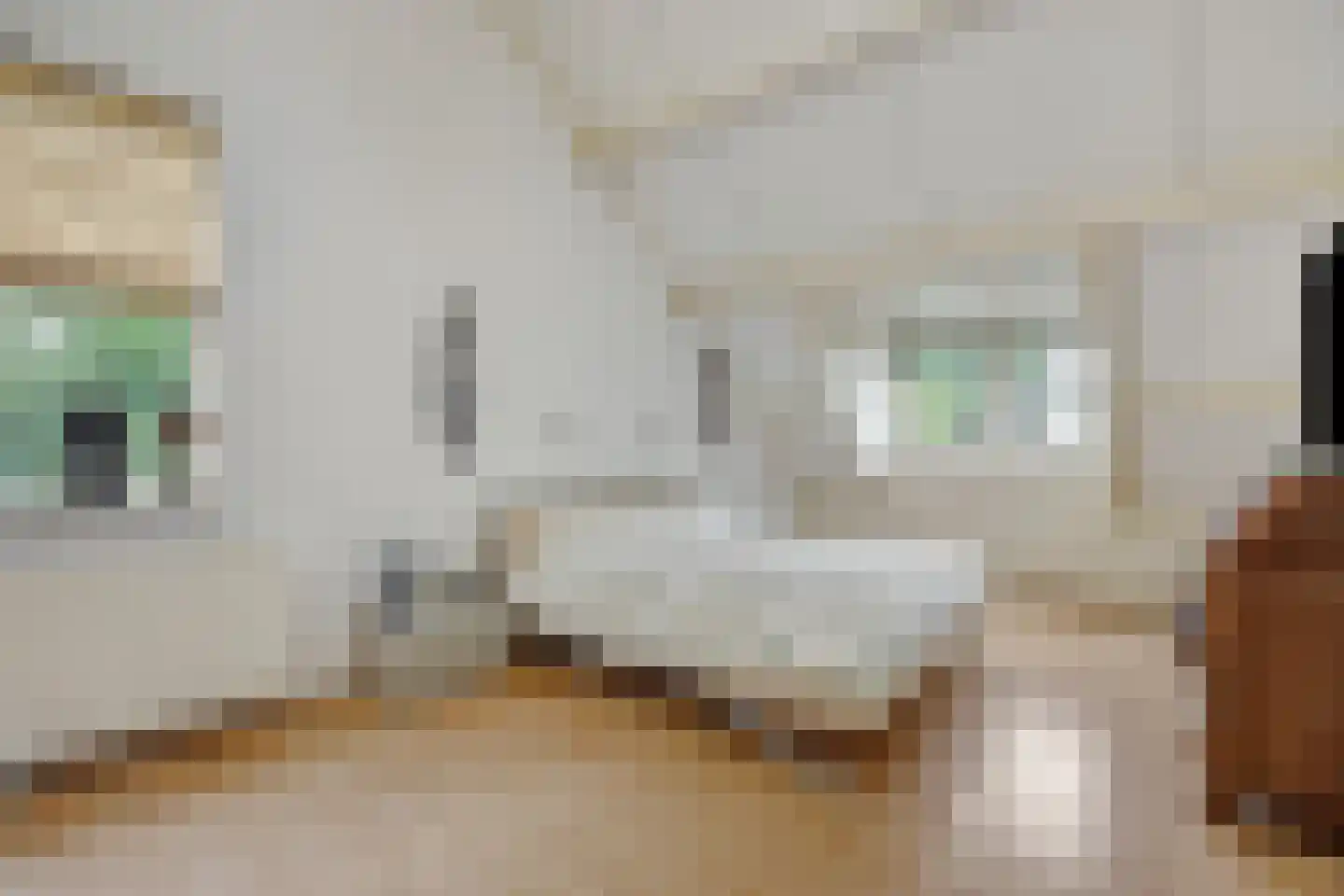 Meidoorn 27 Helmond thumbnail 38