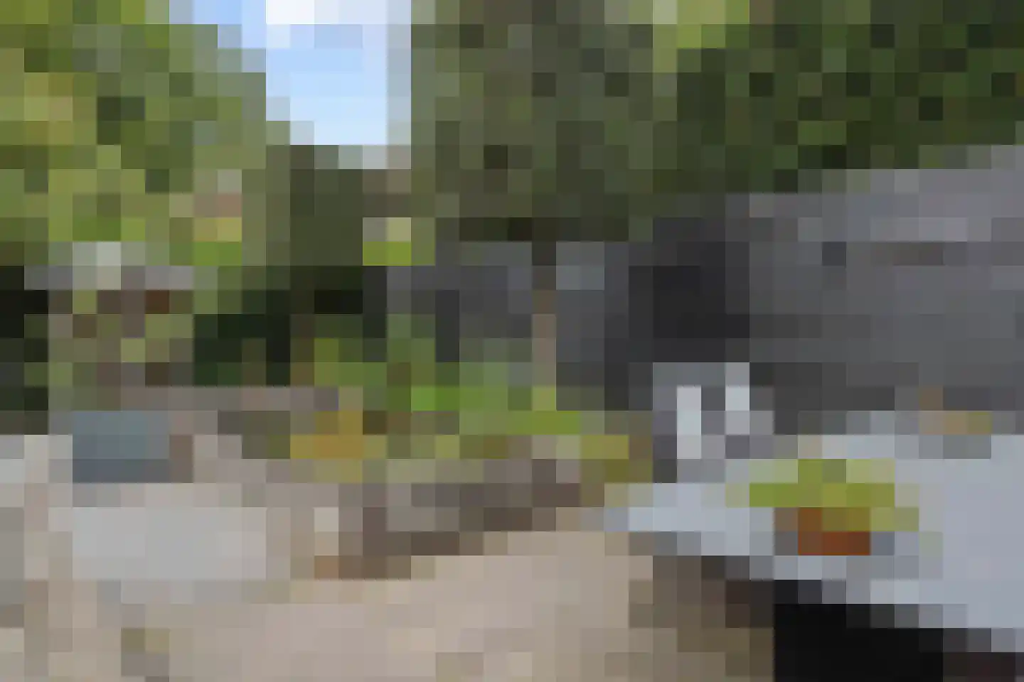 Meidoorn 27 Helmond thumbnail 44