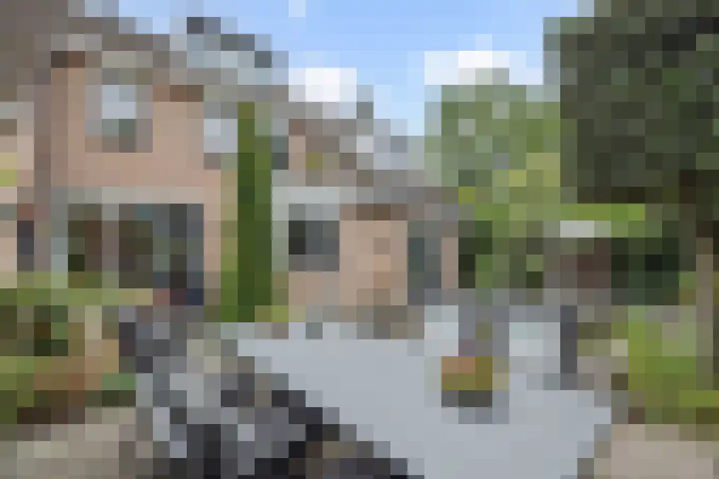 Meidoorn 27 Helmond thumbnail 45