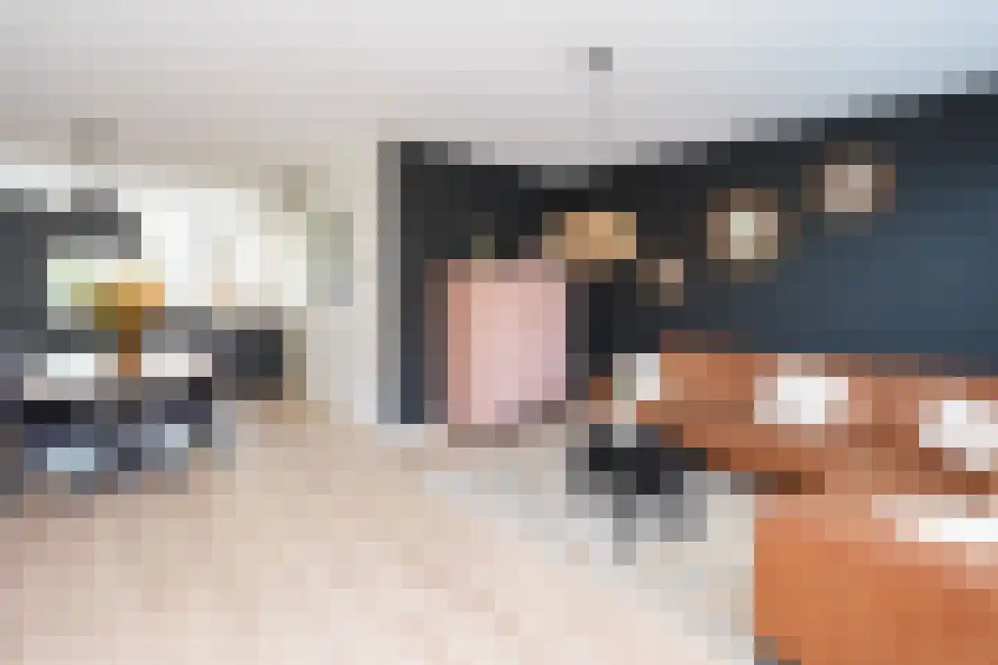 Meidoorn 3 Millingen aan de Rijn thumbnail 14