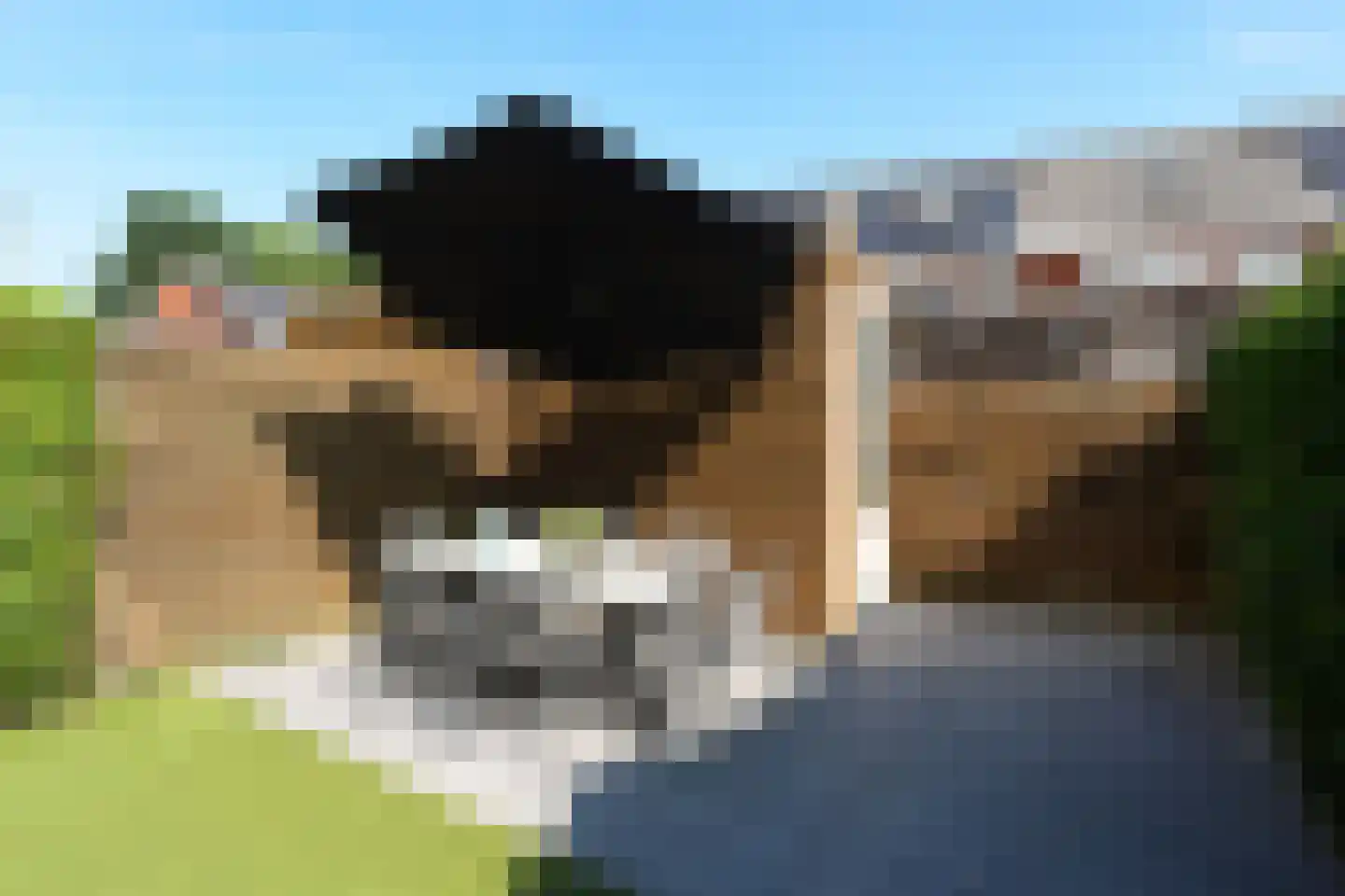 Meidoorn 3 Millingen aan de Rijn thumbnail 17