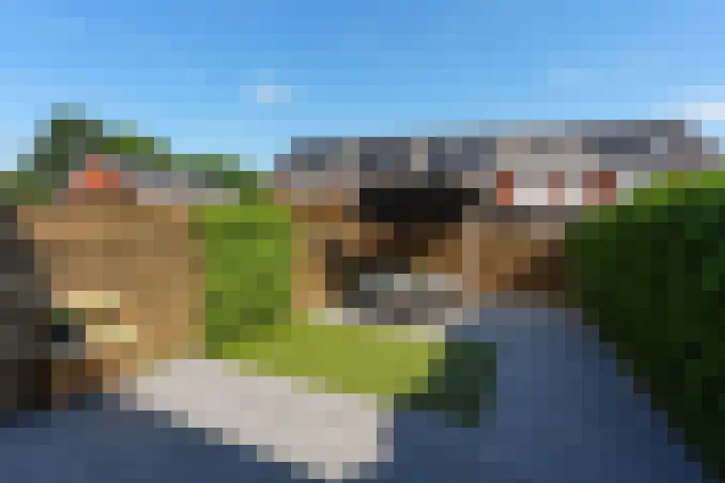 Meidoorn 3 Millingen aan de Rijn foto 2