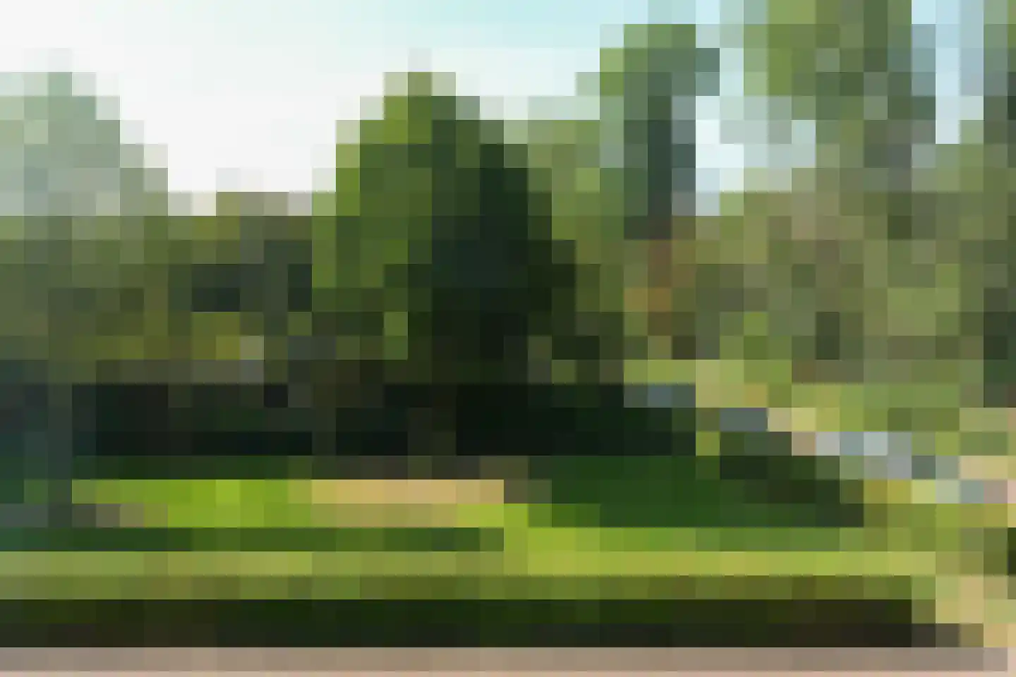 Meidoorn 3 Millingen aan de Rijn thumbnail 28