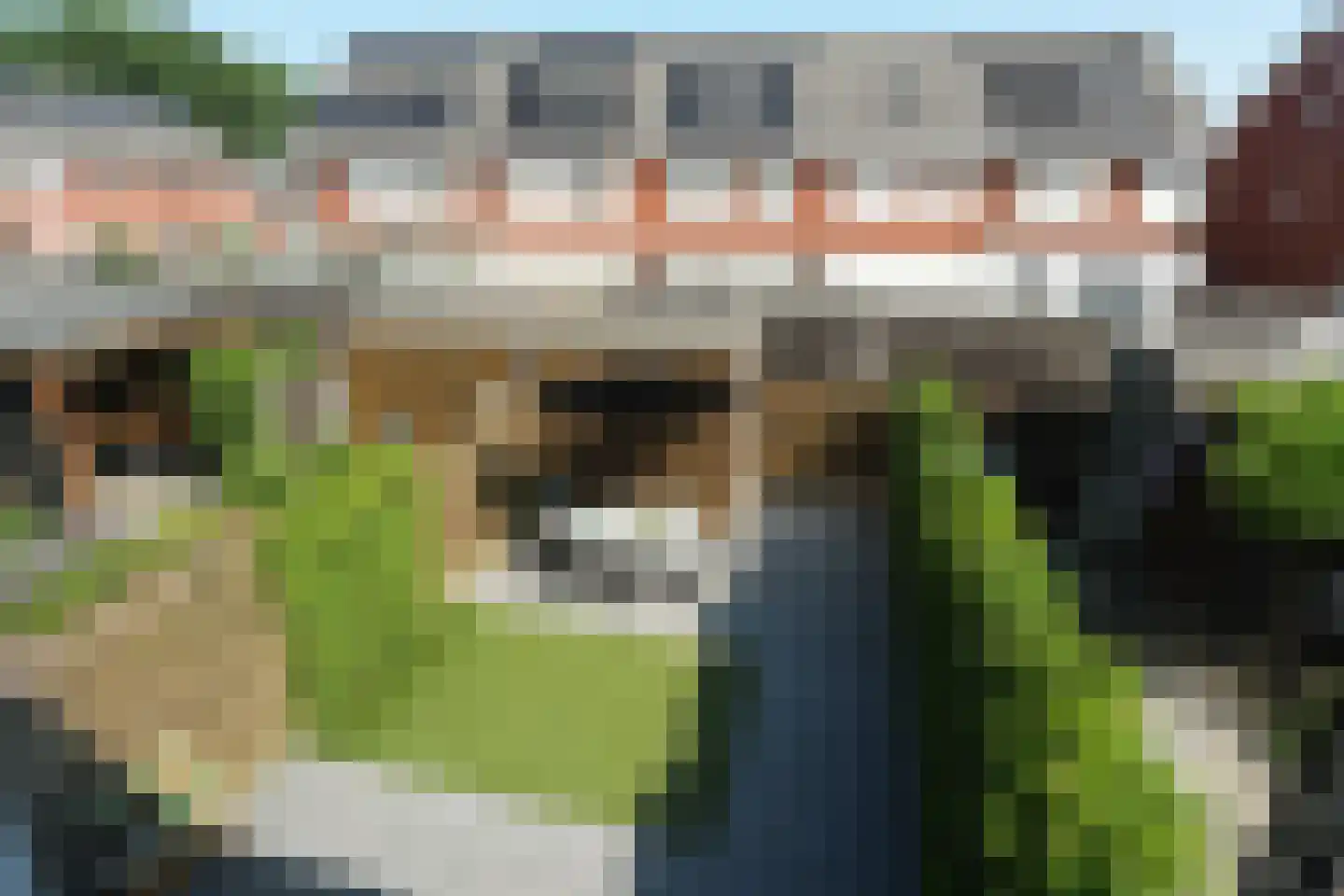 Meidoorn 3 Millingen aan de Rijn thumbnail 33