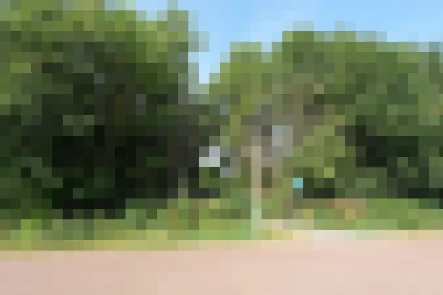 Meidoorn 3 Millingen aan de Rijn thumbnail 45