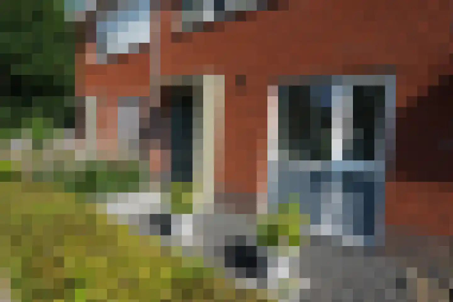 Meidoorn 3 Millingen aan de Rijn thumbnail 46