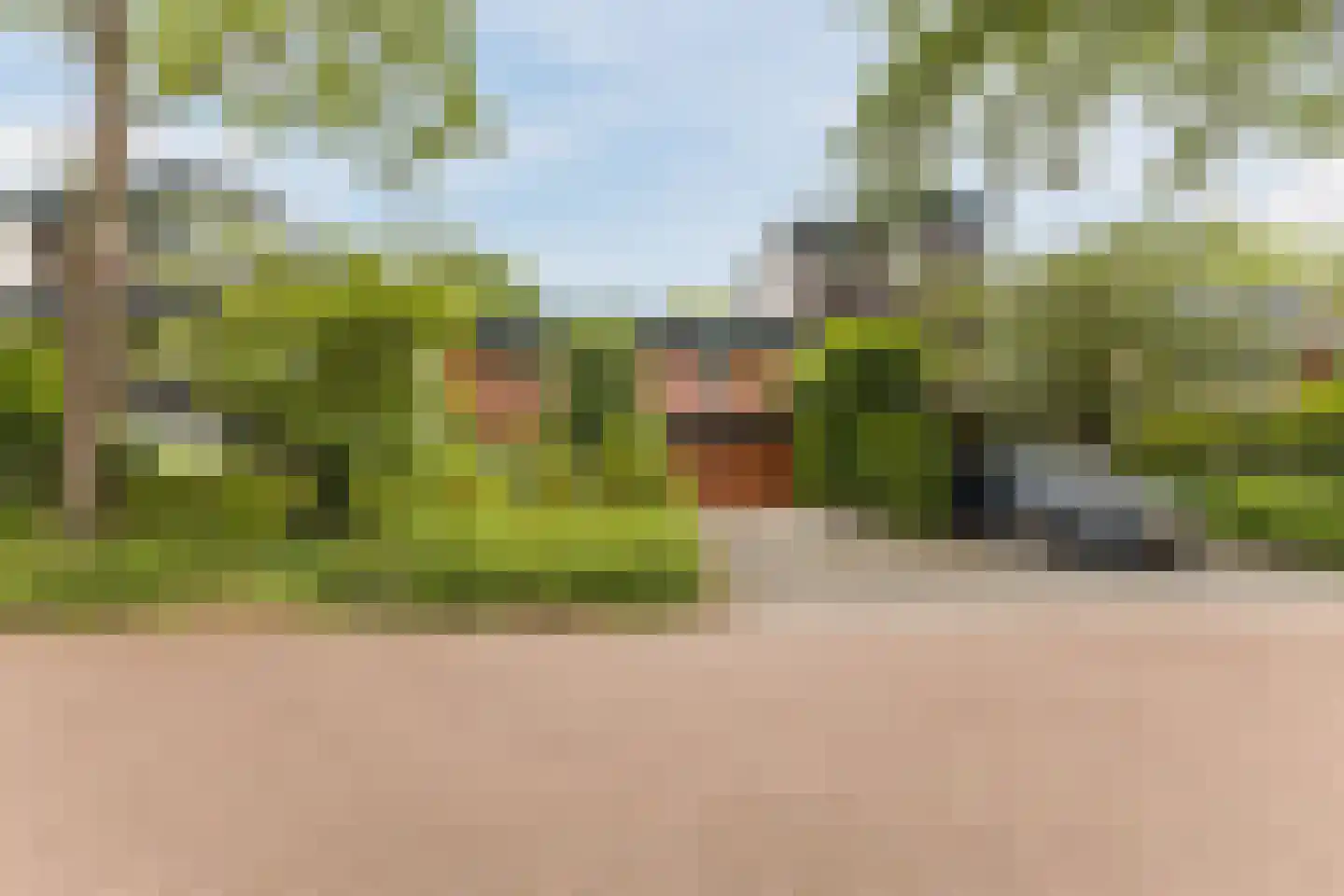 Meidoorn 30 Geldrop
