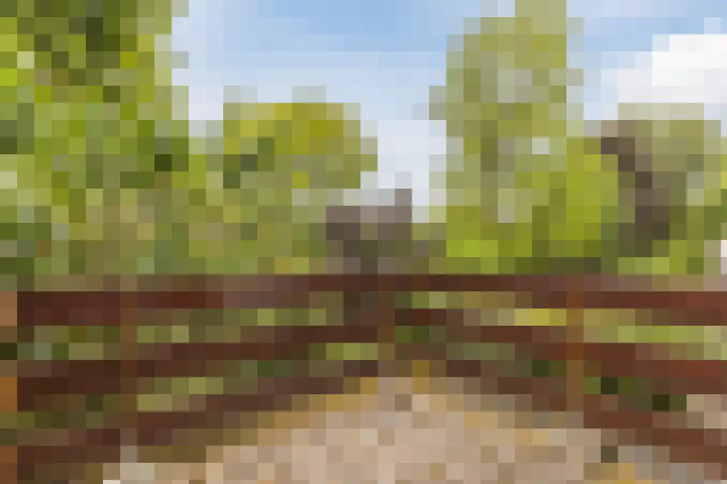 Meidoorn 30 Geldrop thumbnail 24