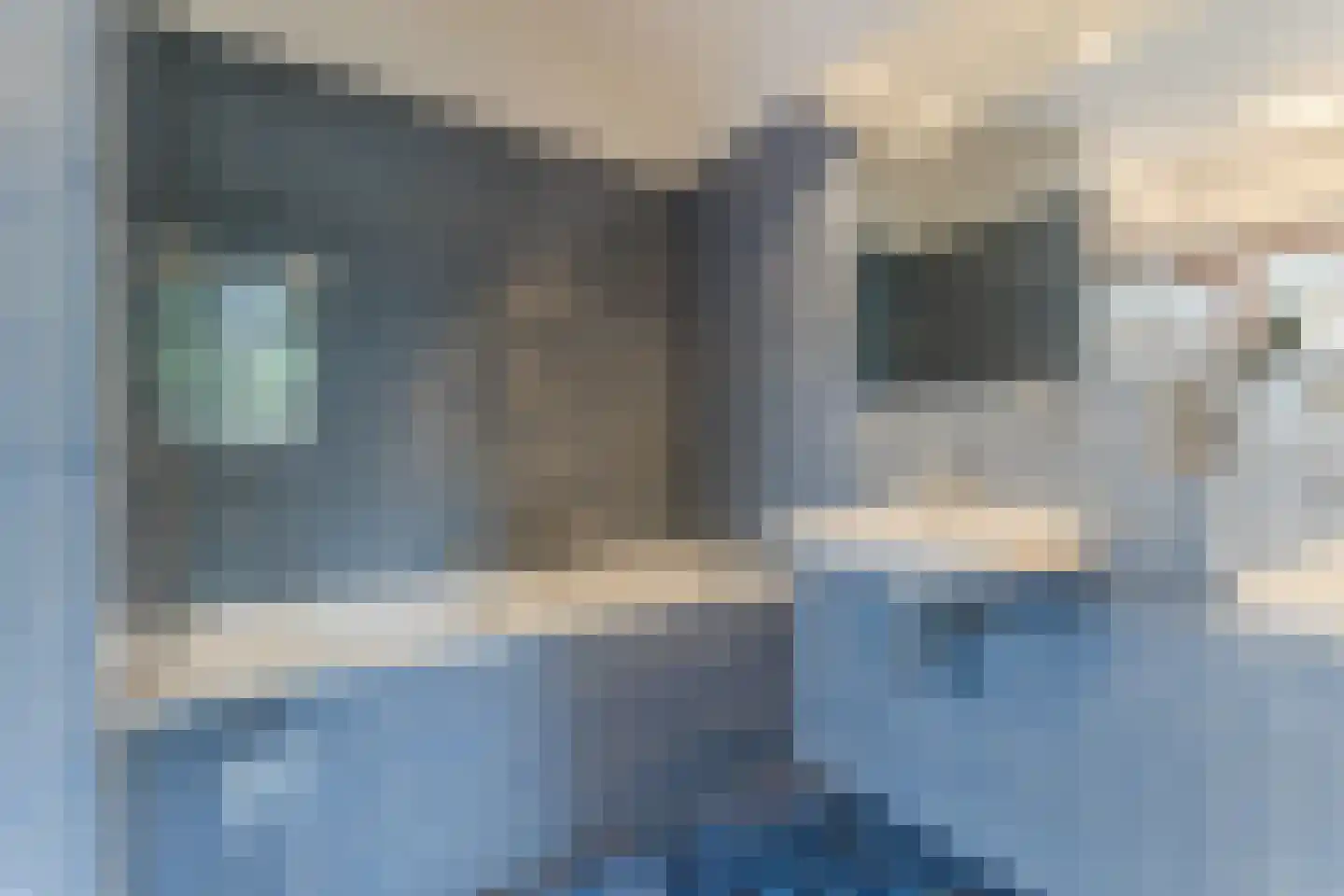 Meidoorn 30 Geldrop thumbnail 33