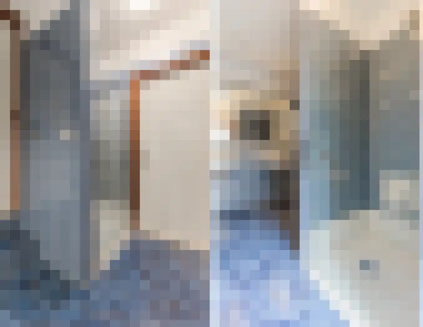 Meidoorn 30 Geldrop thumbnail 35