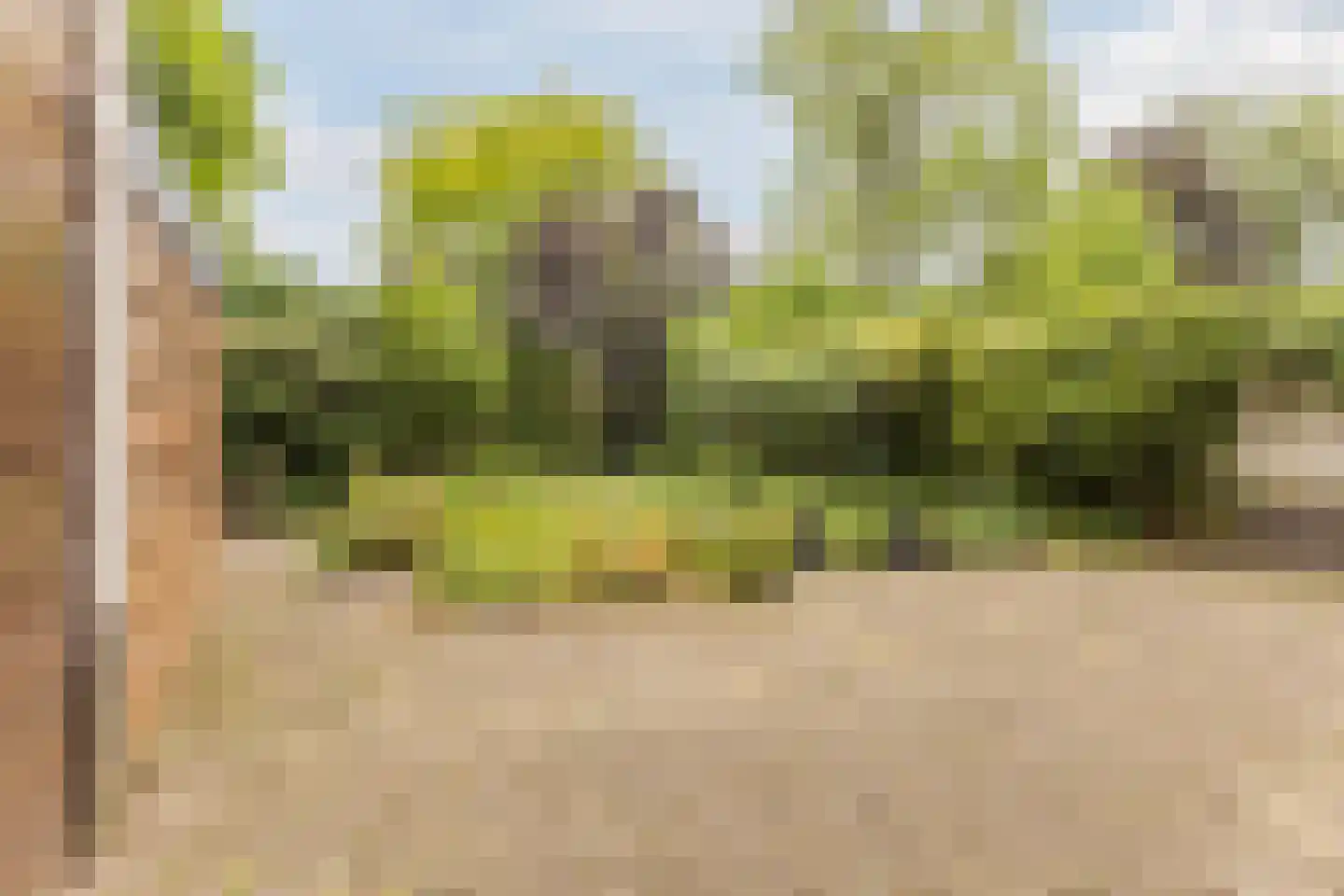 Meidoorn 30 Geldrop thumbnail 45