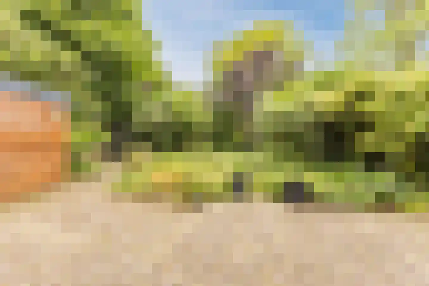 Meidoorn 30 Geldrop thumbnail 46