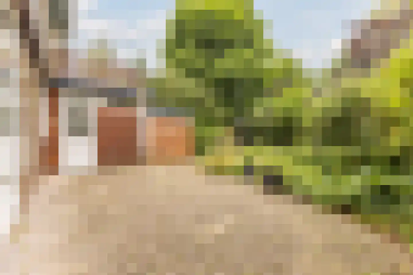 Meidoorn 30 Geldrop thumbnail 47