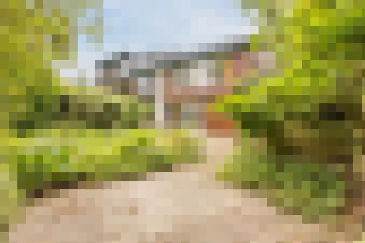Meidoorn 30 Geldrop thumbnail 48