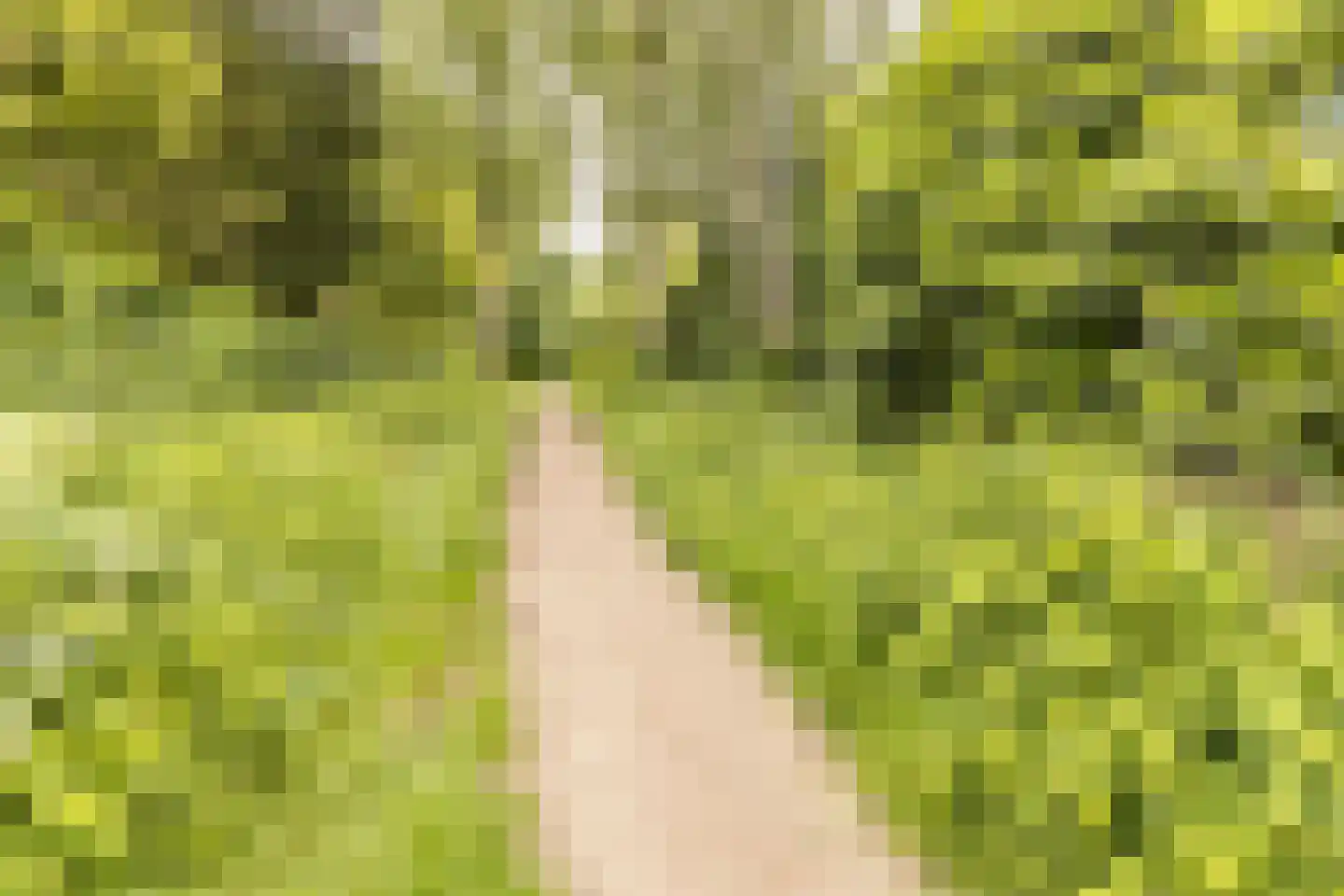 Meidoorn 30 Geldrop thumbnail 49
