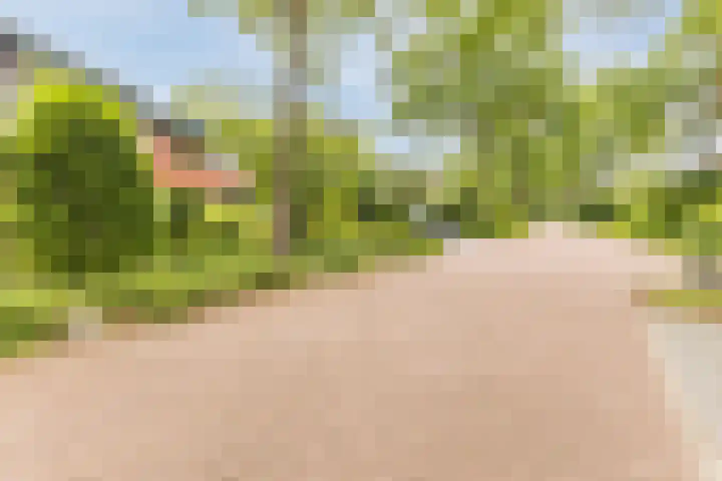 Meidoorn 30 Geldrop thumbnail 5