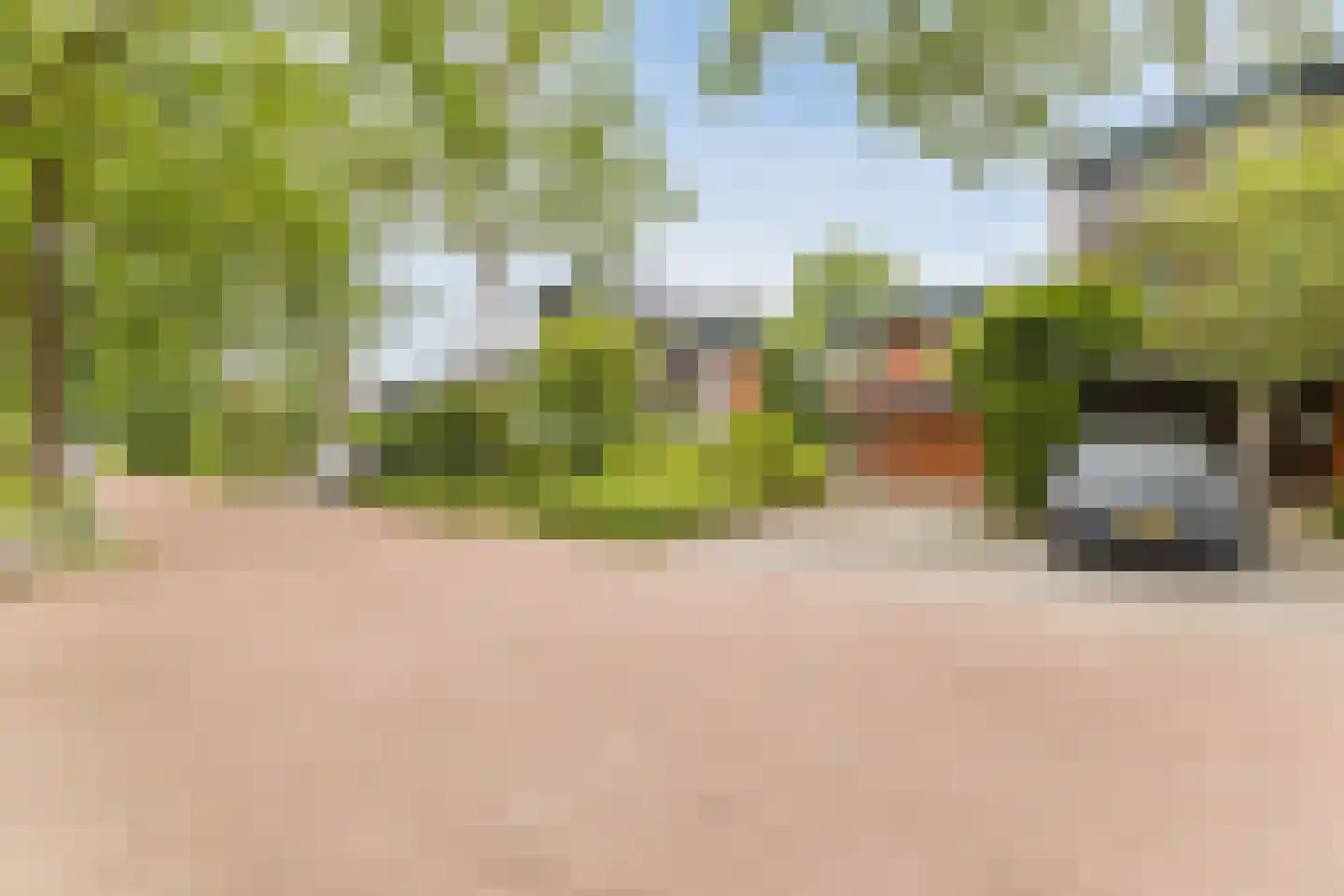 Meidoorn 30 Geldrop thumbnail 6