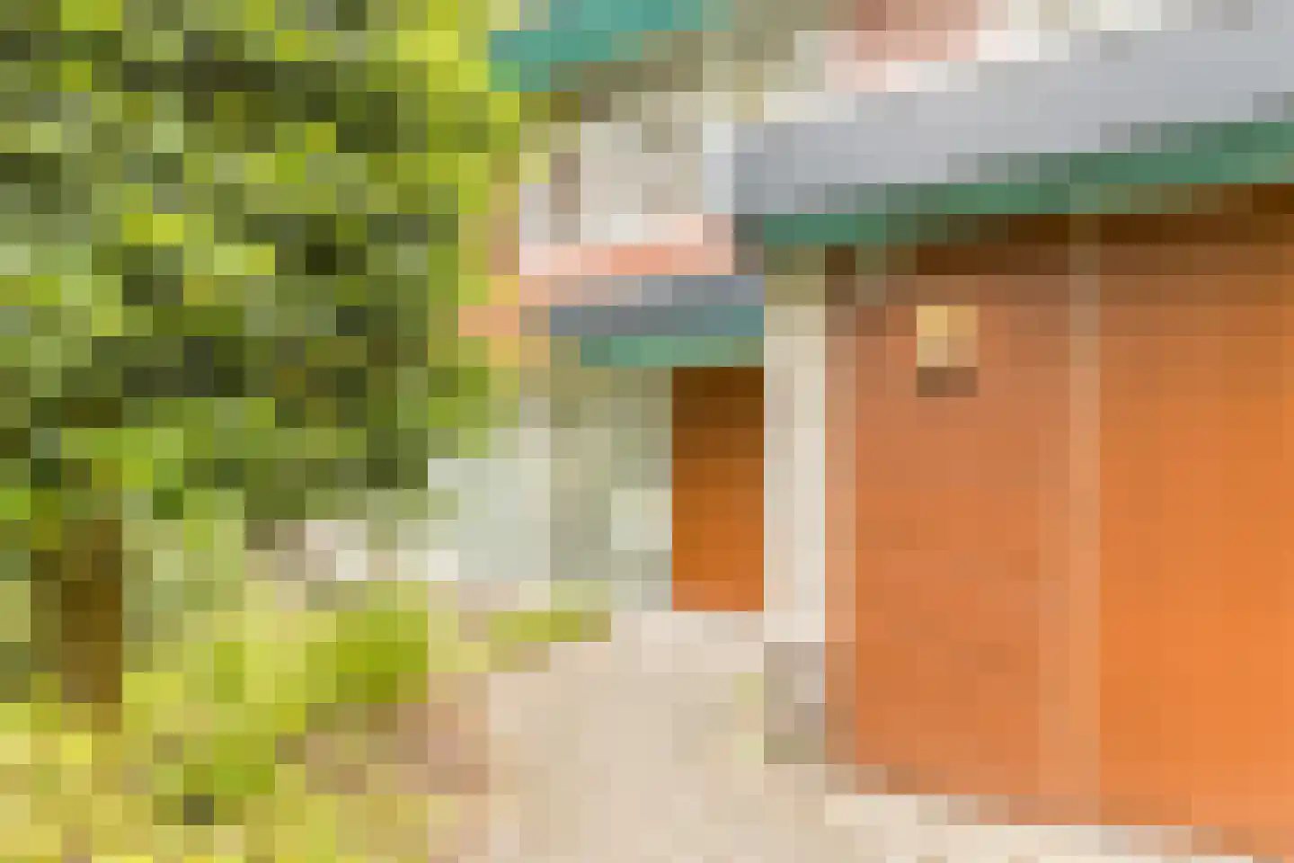 Meidoorn 30 Geldrop thumbnail 8