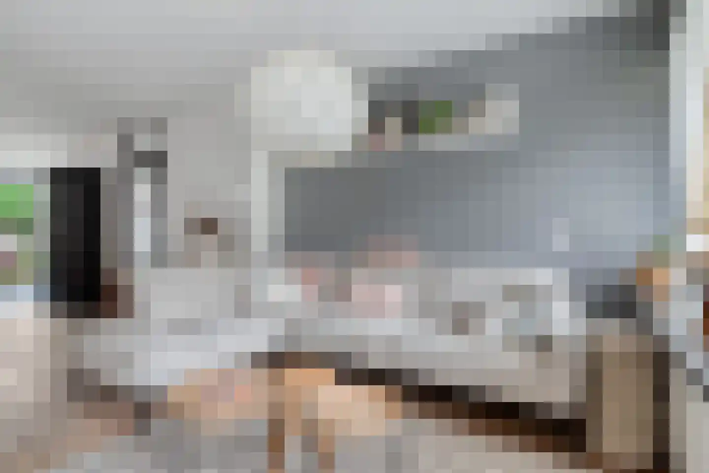 Meidoorn 32 Prinsenbeek thumbnail 11
