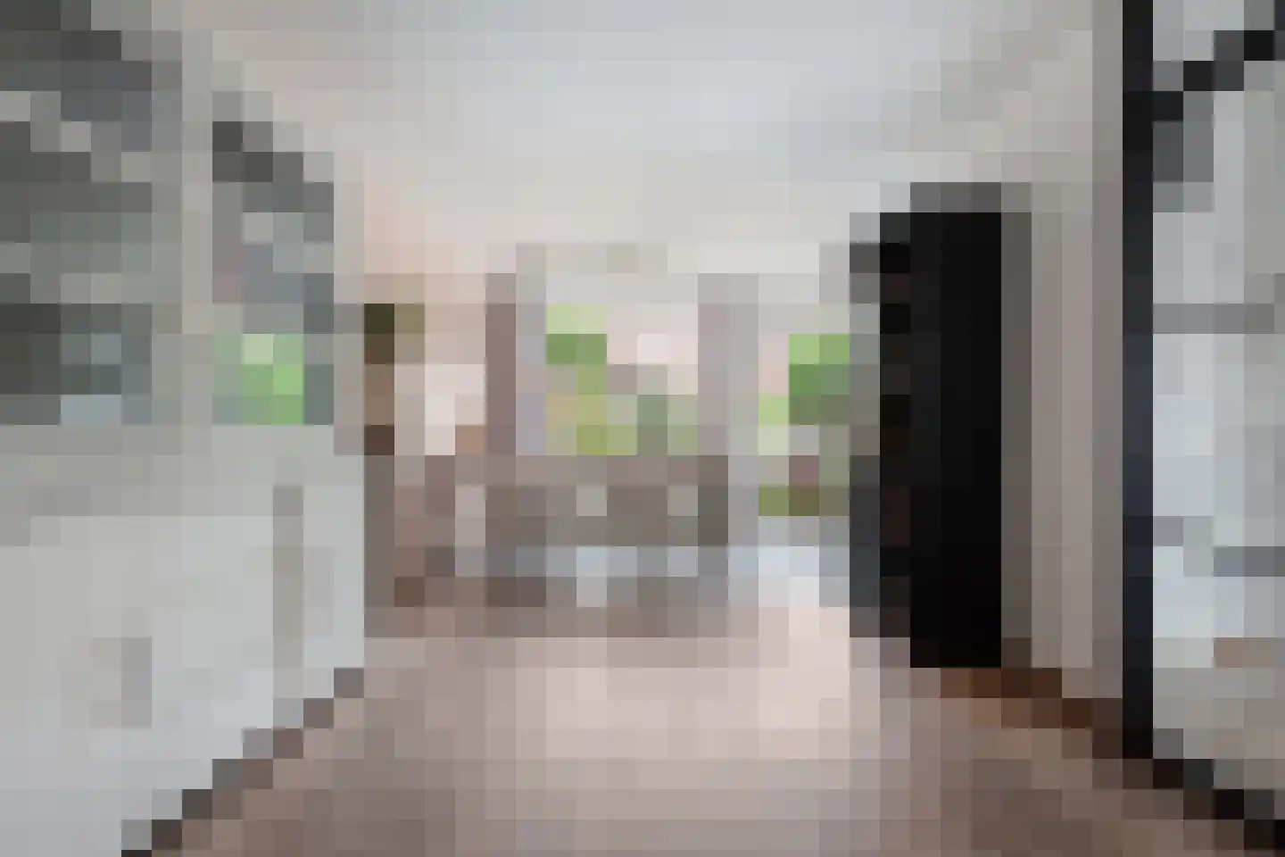 Meidoorn 32 Prinsenbeek thumbnail 12