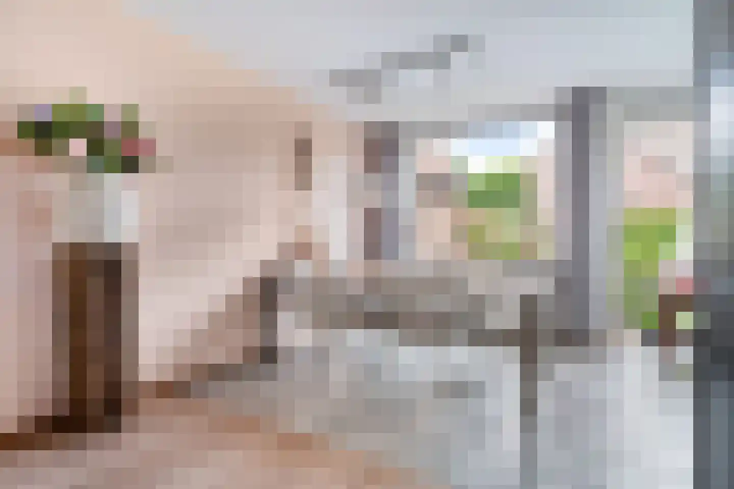 Meidoorn 32 Prinsenbeek thumbnail 13
