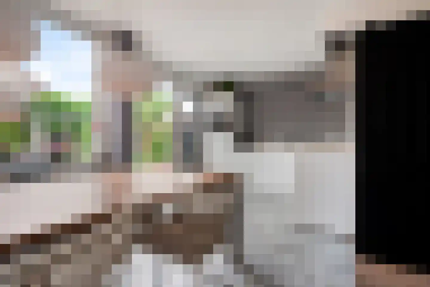 Meidoorn 32 Prinsenbeek thumbnail 14