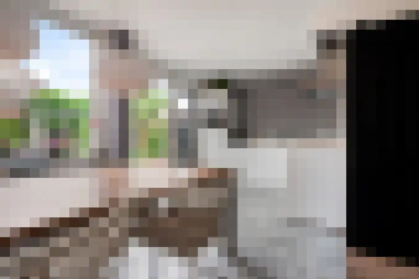 Meidoorn 32 Prinsenbeek thumbnail 16