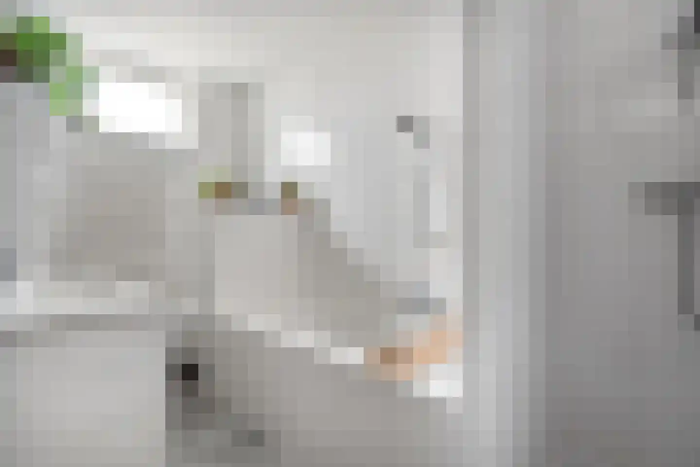 Meidoorn 32 Prinsenbeek thumbnail 24