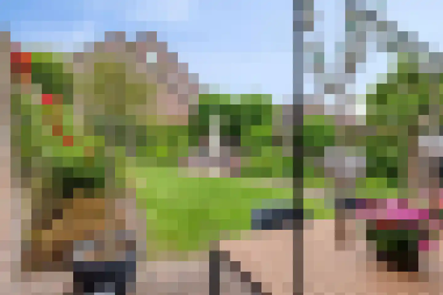 Meidoorn 32 Prinsenbeek thumbnail 31